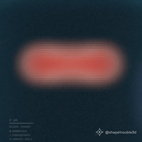 Video66