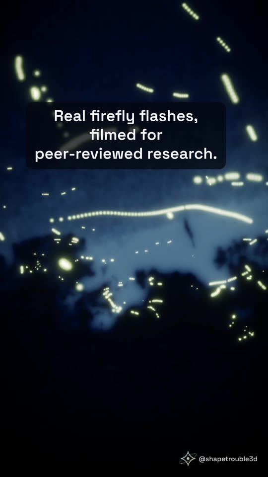 Glowing firefly flashes over a dusk sky, with the caption: Real firefly flashes, filmed for peer-reviewed research.